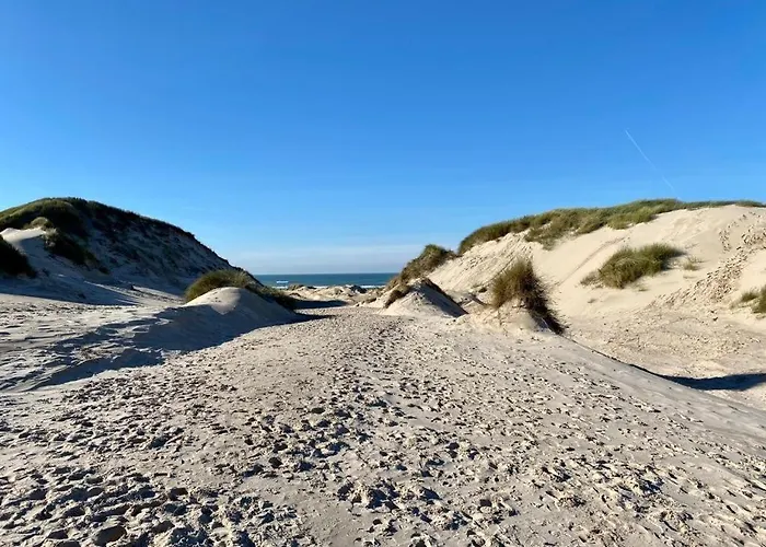 펜션 Slapen Tussen De Duinen By Droomvilla *