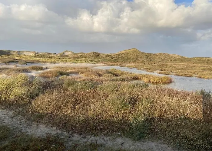 Slapen Tussen De Duinen By Droomvilla 펜션